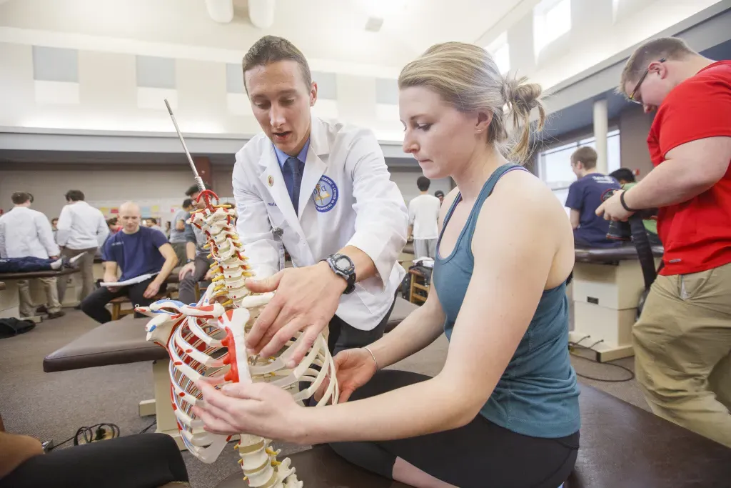 A student reviews a rib cage model with their professor in the O M M lab